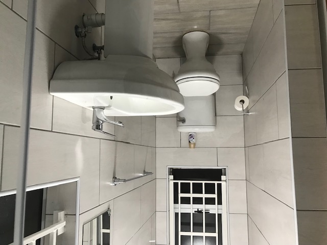 The Affectionate One 2